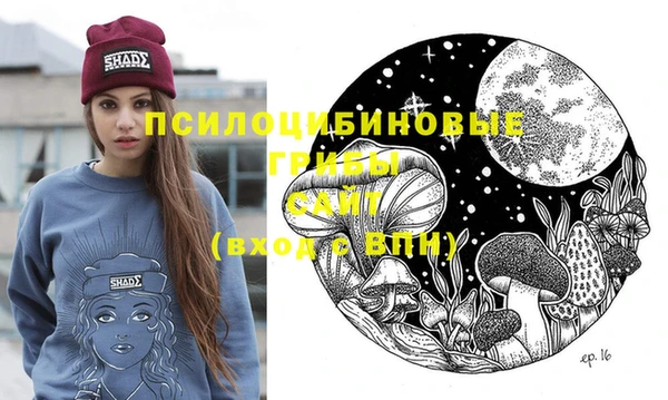 ПСИЛОЦИБИНОВЫЕ ГРИБЫ Богданович