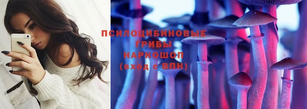 сатива Богородск