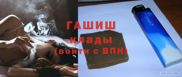 ПСИЛОЦИБИНОВЫЕ ГРИБЫ Богданович