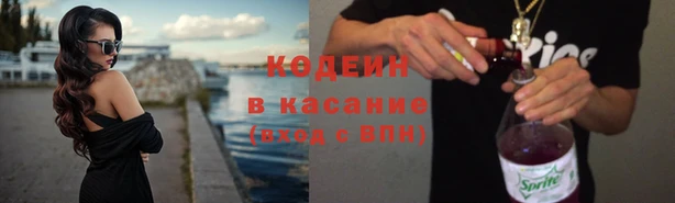 амф Бородино