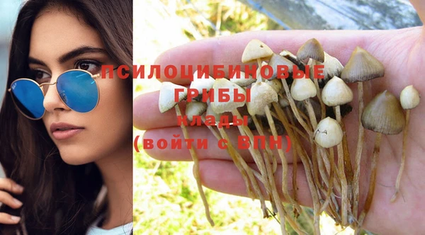 ПСИЛОЦИБИНОВЫЕ ГРИБЫ Богданович
