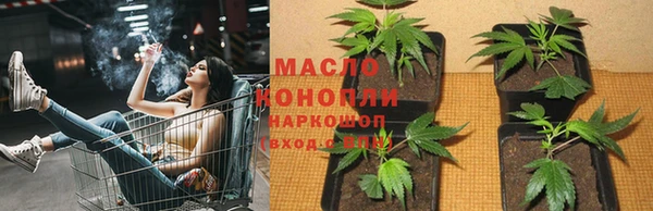сатива Богородск