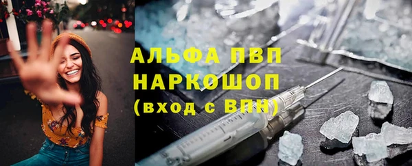 ПСИЛОЦИБИНОВЫЕ ГРИБЫ Богданович