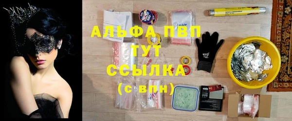 амф Бородино